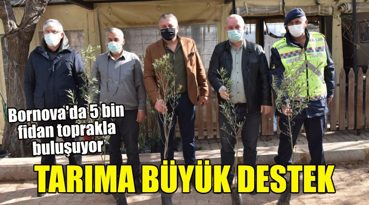 Bornova da 5 bin fidan toprakla buluşuyor