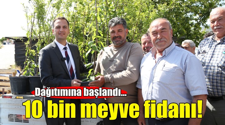 Bornova da bir yılda 10 bin meyve fidanı dağıtılacak!