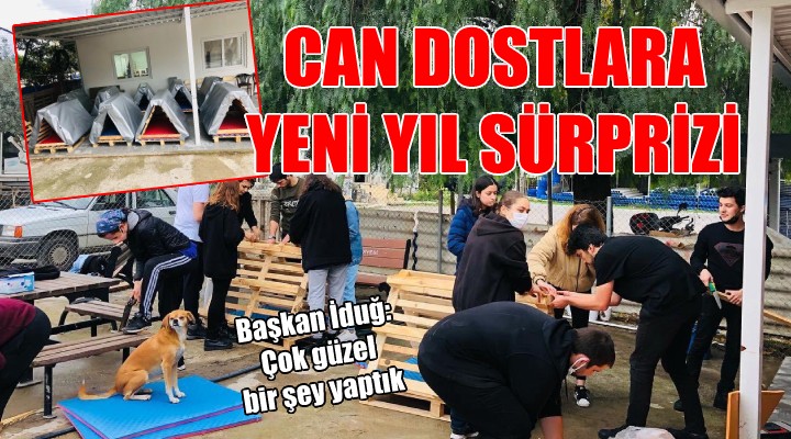 Bornova da can dostlara yeni yıl sürprizi...