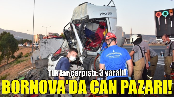 Bornova da can pazarı!