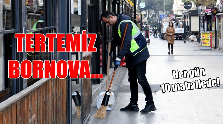 Bornova da detaylı temizlik...