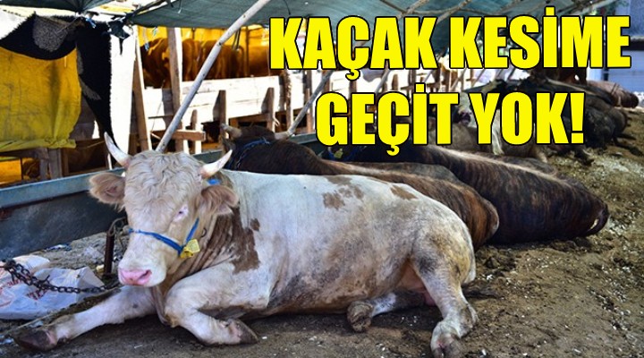 Bornova da kaçak kesime geçit yok!