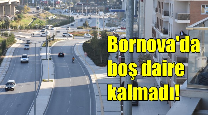 Bornova da kiralık konut kalmadı!