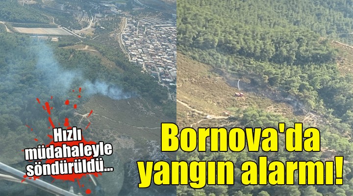 Bornova da orman yangını alarmı!