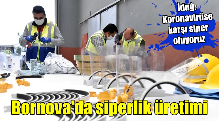 Bornova da siperlik üretimi..