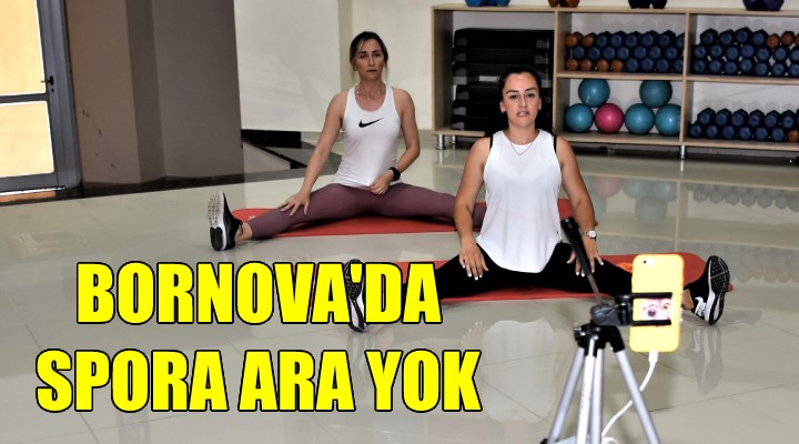 Bornova da spora ara yok