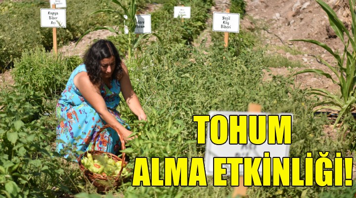 Bornova da tohum alma etkinliği!