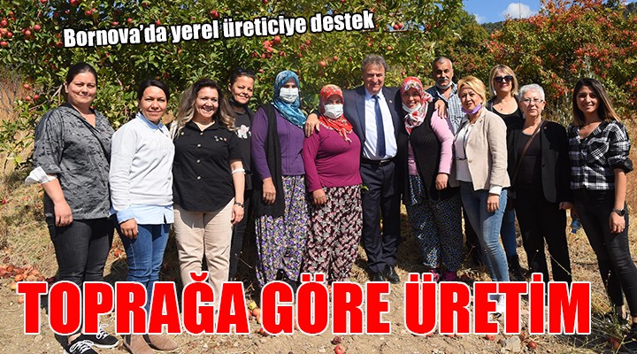 Bornova da toprağa göre üretim...