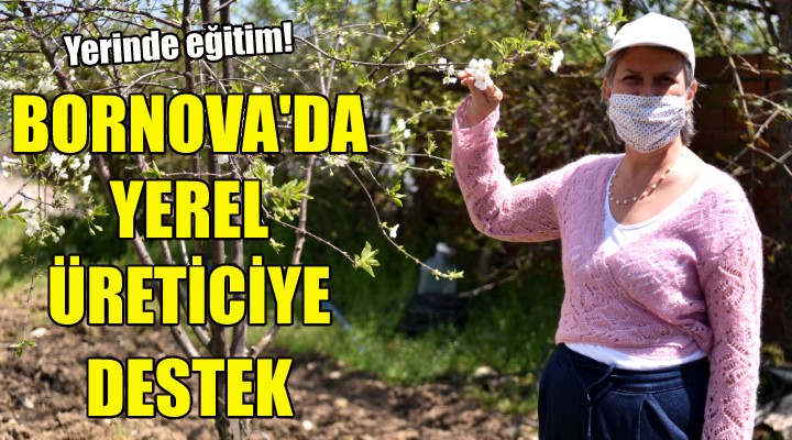 Bornova da yerel üreticiye destek!