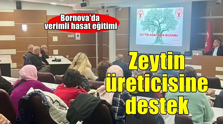Bornova da zeytin üreticilerine destek