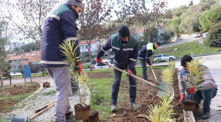 Bornova nın parklarında hummalı çalışma!