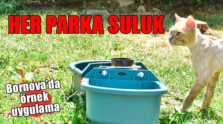 Bornova parklarına suluk