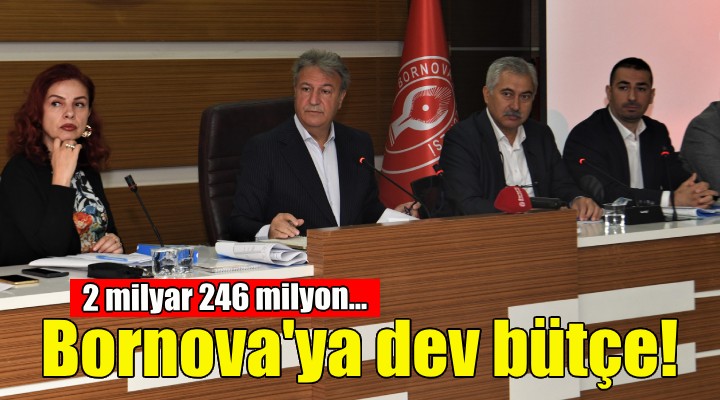 Bornova ya 2 milyar 246 milyonluk bütçe!