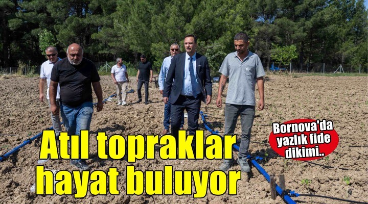 Bornova’da atıl topraklar hayat buluyor