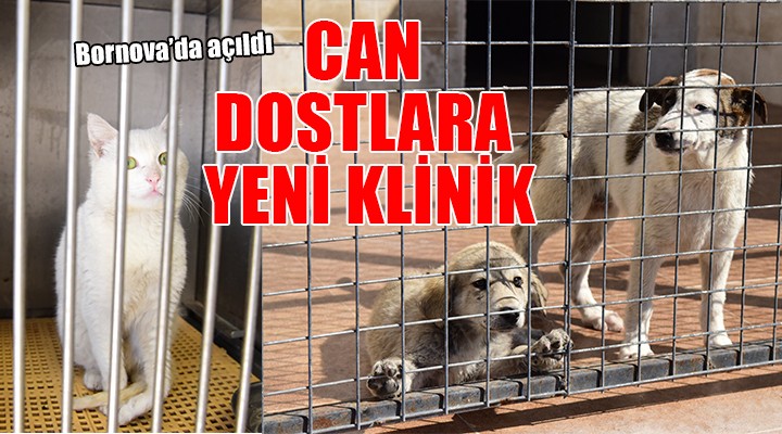 Bornova’da can dostlara yeni klinik