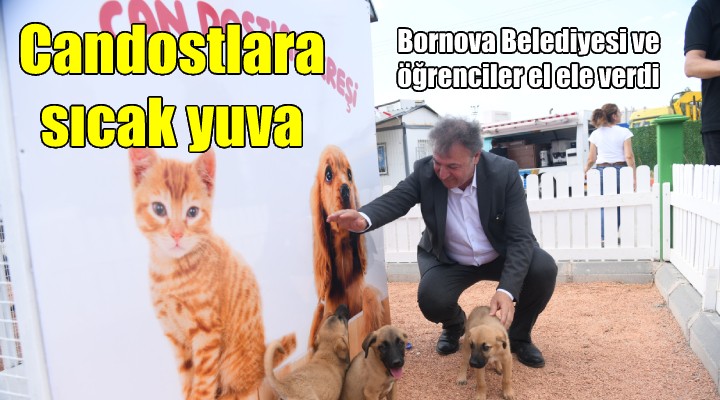 Bornova’da can dostlarına sıcak yuva