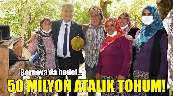 Bornova’da hedef 50 milyon atalık tohum!