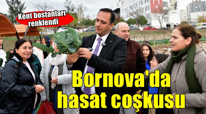 Bornova’da kent bostanlarında büyük hasat coşkusu