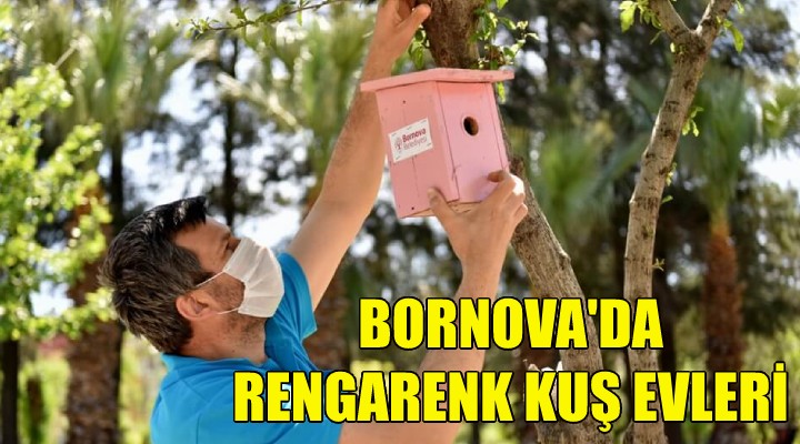 Bornova’da rengarenk kuş evleri!