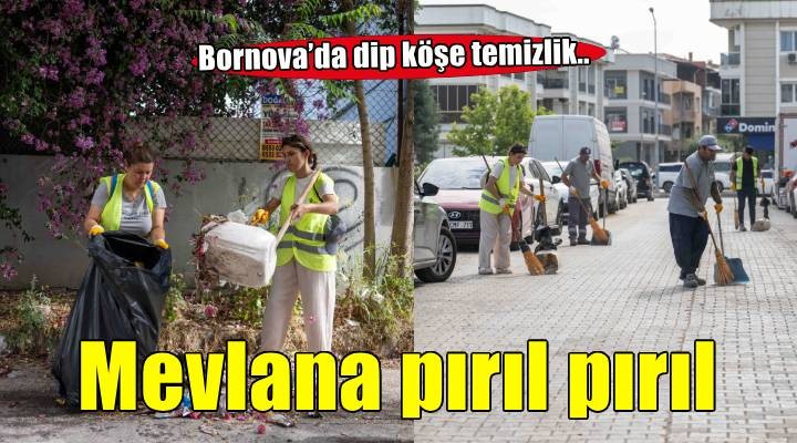 Bornova’da temizlik seferberliği