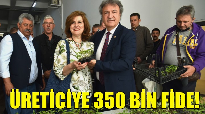 Bornova’da üreticiye 350 bin fide!