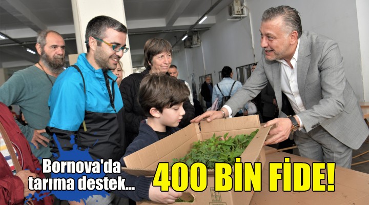 Bornova’da vatandaşa 400 bin fide!