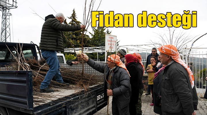 Bornovalı çiftçiye 10 bin fidan