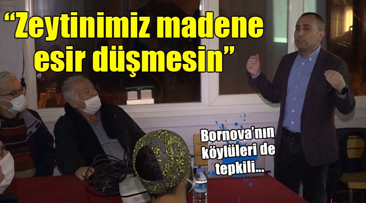 Bornovalı köylülerden zeytinlik kararına tepki...