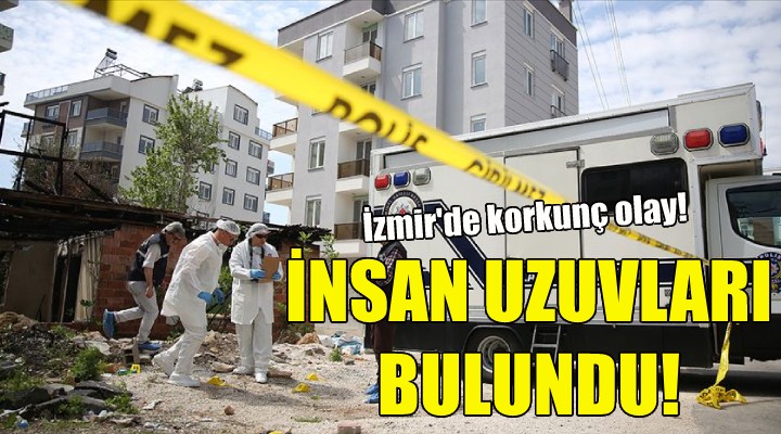 Boş arazide insan uzuvları bulundu!