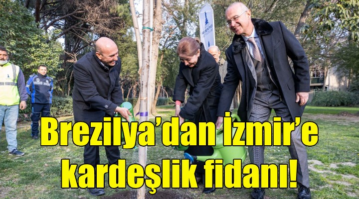 Brezilya’dan İzmir’e kardeşlik fidanı!