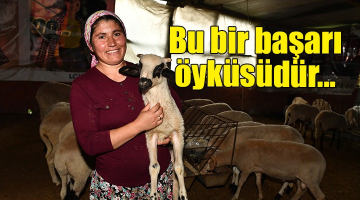 Bu bir başarı öyküsüdür....