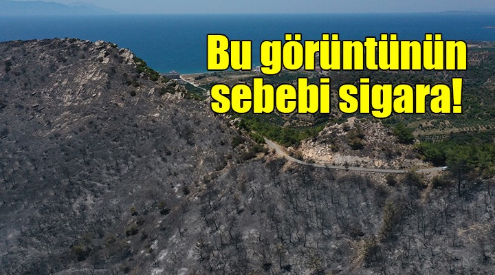 Bu görüntünün sebebi sigara!