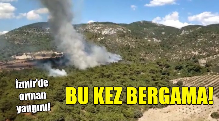 Bu kez Bergama... İzmir de orman yangını!
