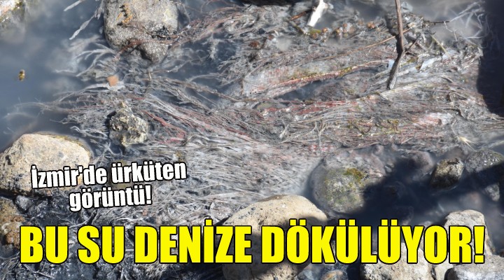 Bu su denize dökülüyor!