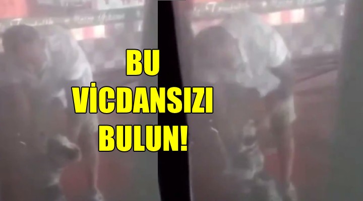 Bu vicdansızı bulun!