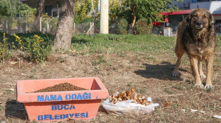 Buca da can dostlara büyük destek...