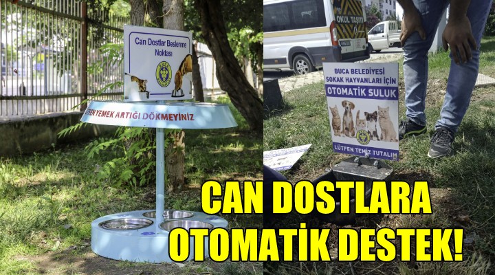 Buca da can dostlara otomatik destek..