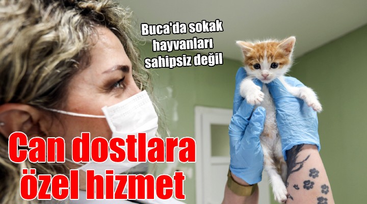 Buca da can dostlara özel hizmet