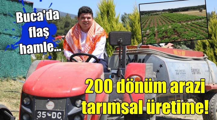 Buca da flaş hamle...200 dönüm arazi tarımsal üretime!