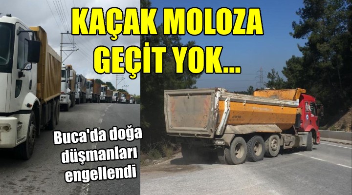 Buca da kaçak moloza geçit yok