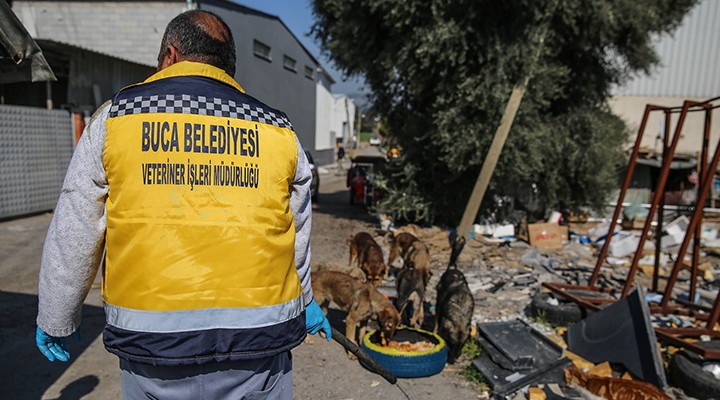 Buca da mama kabı seferberliği