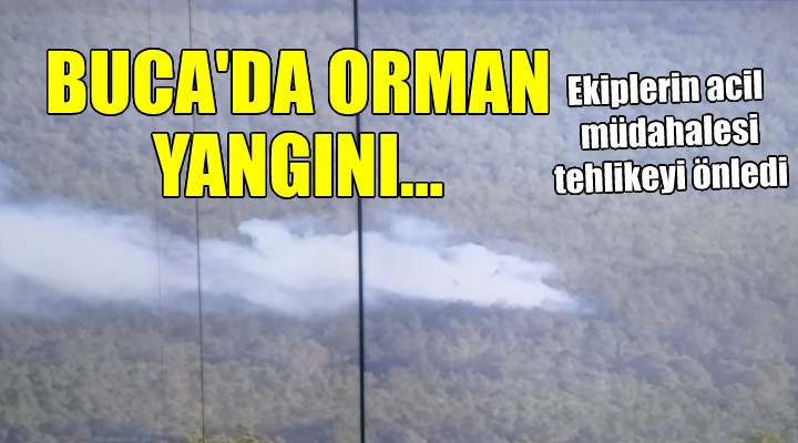 Buca da orman yangını...