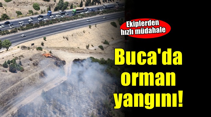 Buca da orman yangını!