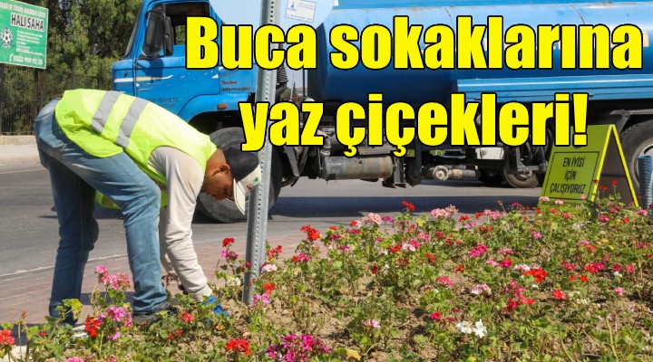 Buca sokaklarına yaz çiçekleri!