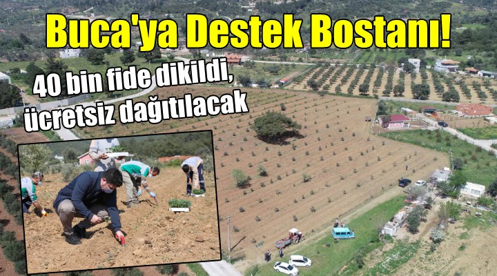 Buca ya Destek Bostanı!