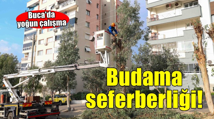 Buca’da budama seferberliği