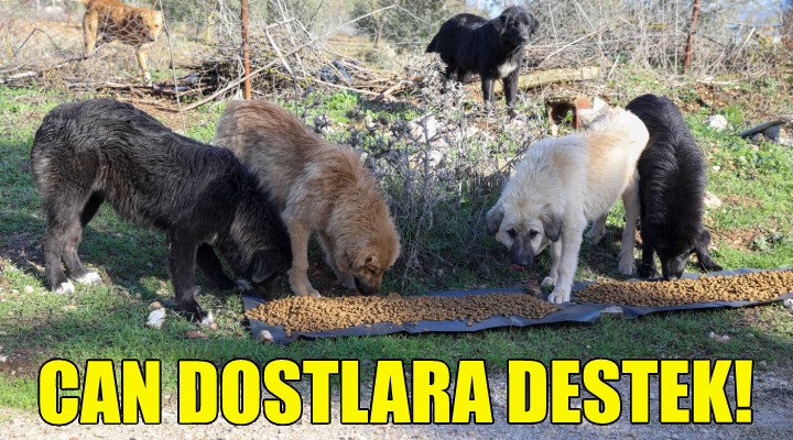 Buca’da can dostlara destek!