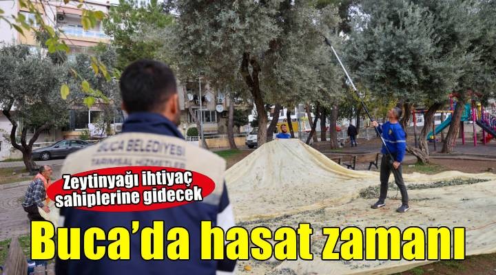Buca’da dayanışma için hasat zamanı