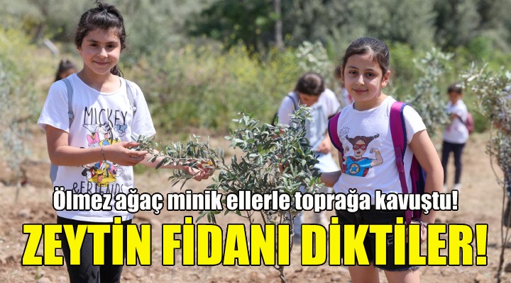 Bucalı çocuklardan zeytin fidanı dikimi!