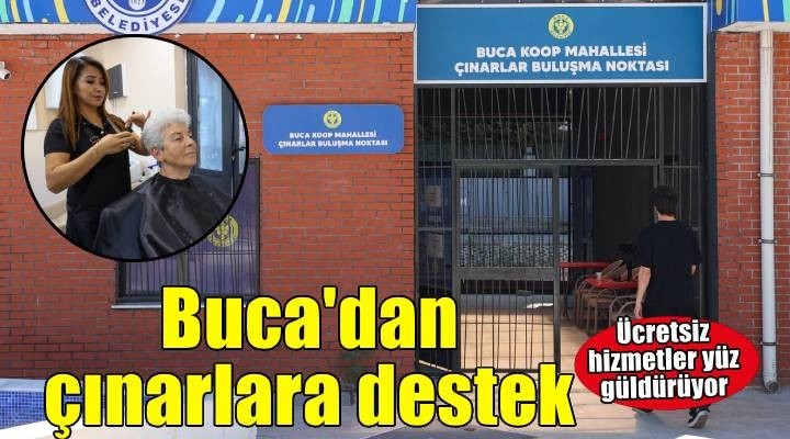 Buca’nın çınarlarının yüzü gülüyor